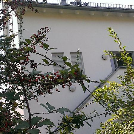 Petite Bellevue II Apartment Baden-Baden Exterior photo