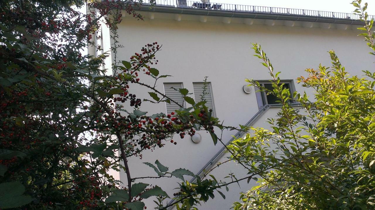 Petite Bellevue II Apartment Baden-Baden Exterior photo